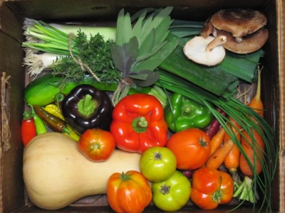 5 Tips For Getting The Most Out Of Your CSA Share